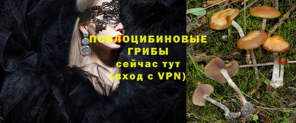 mdma Пересвет