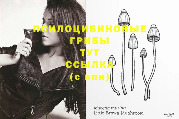 гидра Абдулино